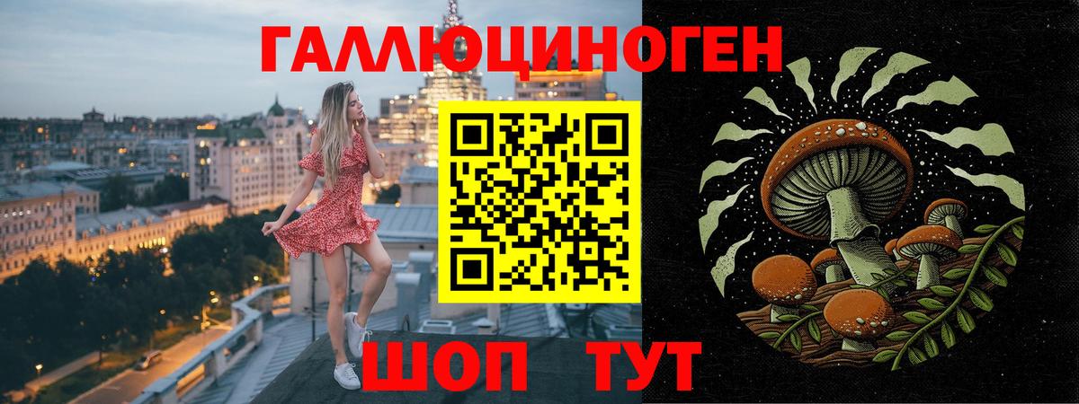 Псилоцибиновые грибы GOLDEN TEACHER Черногорск